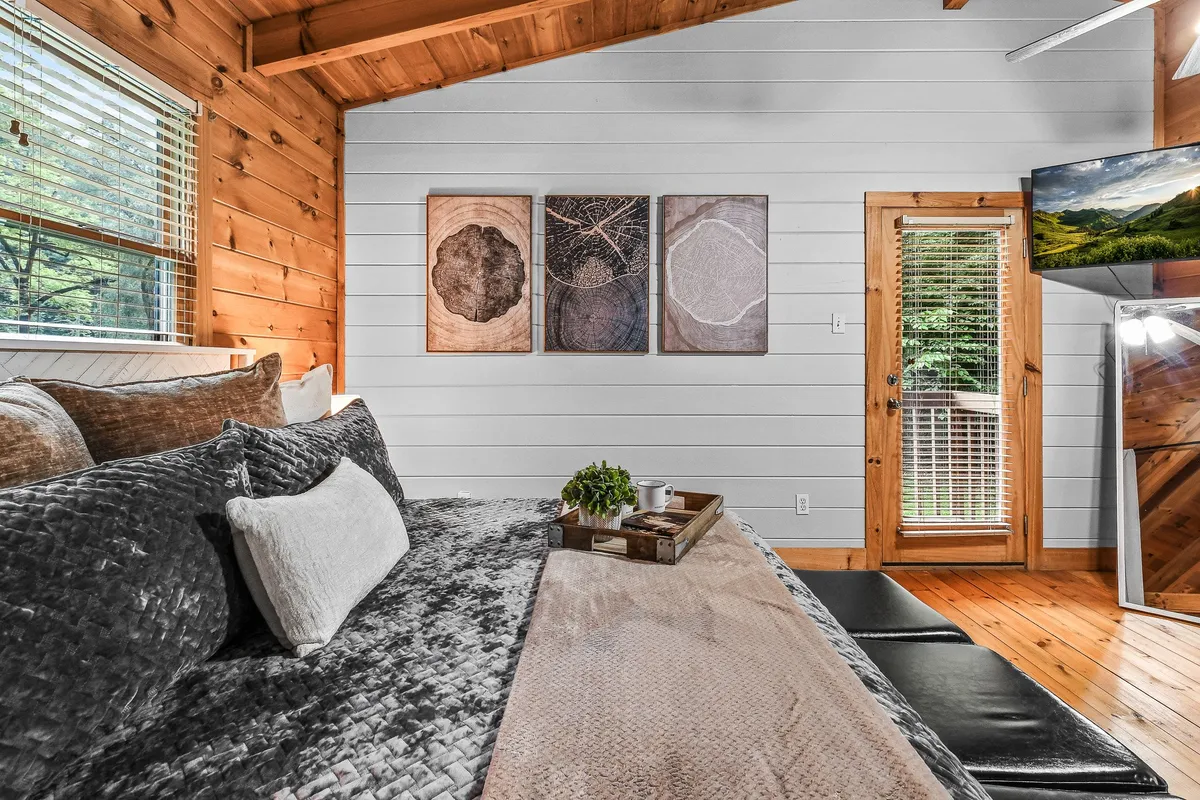This image shows a plush bed with inviting bedding, a wooden door leading outside, and a TV with a scenic view visible through a window. The arrangement suggests easy access to the outdoors and a space where guests and their pets can relax together after exploring.